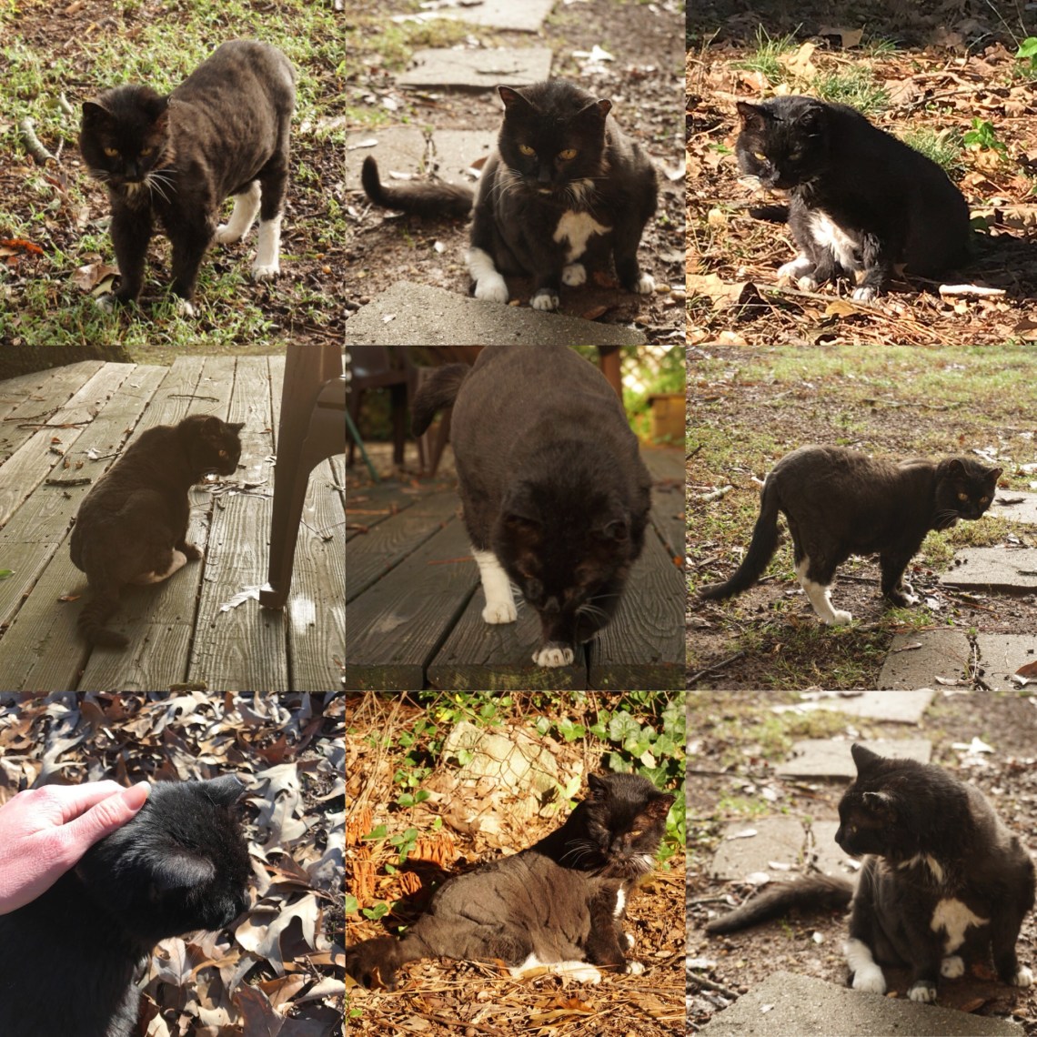 B1E2DAB5-6DF3-47C7-A733-D1A38CE74440